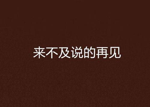 来不及说再见,离别时刻的深情回忆