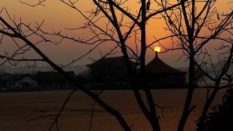 冬日寒阳,探寻寒意中的温暖时光