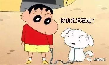 请寻找我,跟随“请寻找我”踏上探险之旅