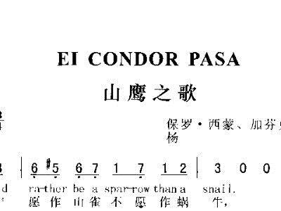 山鹰之歌,探寻自然与生命的壮丽交响