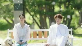 仅此一次的爱情,仅此一次的爱情传奇