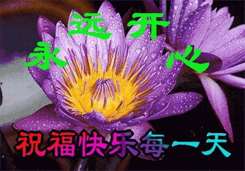 早上好,美好一天从“早上好”开始